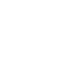 Icon for PHYSICAL ACTIVITIES & SPORTS